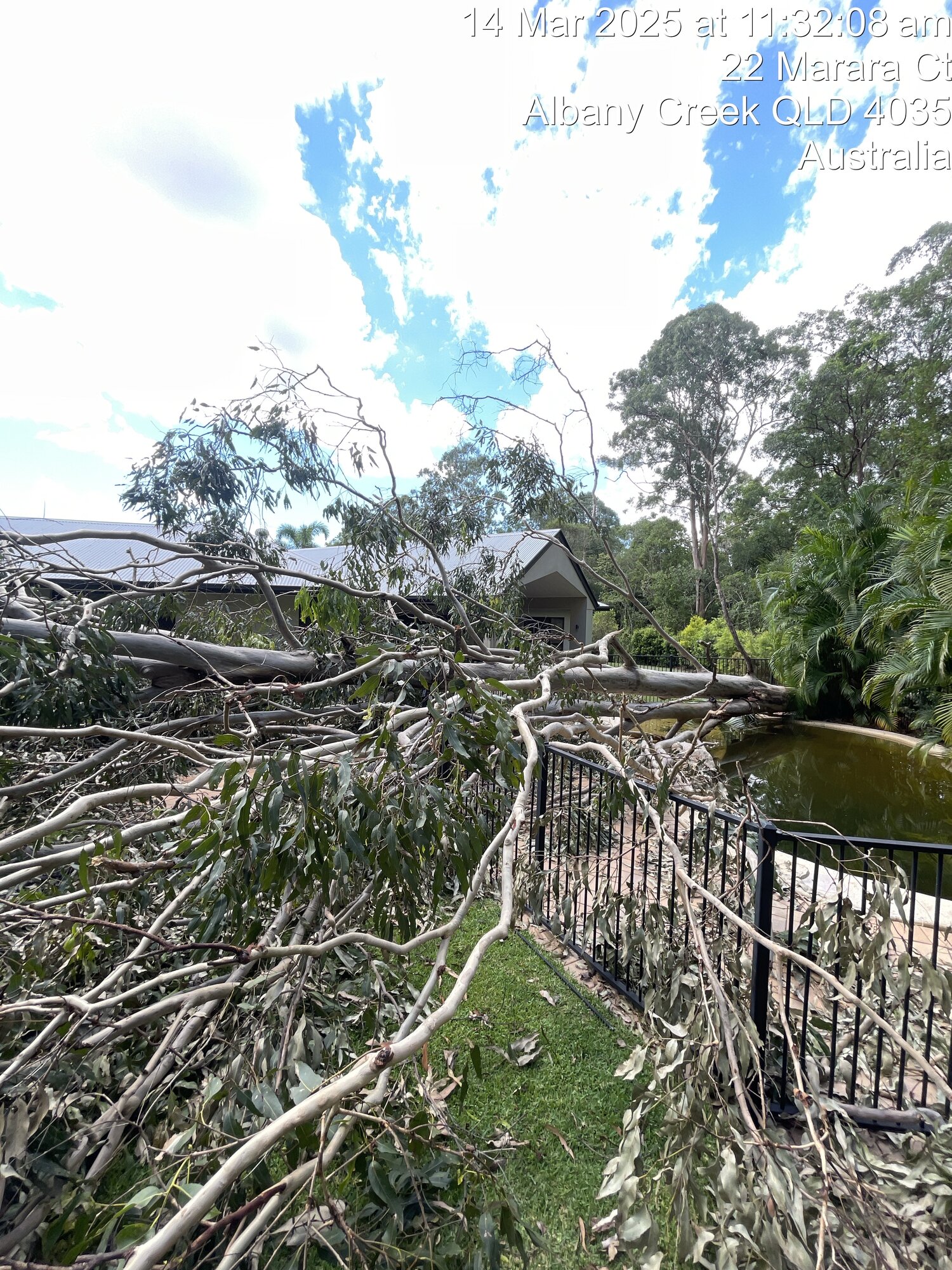 Albany Creek Storm Cleanup — photo 1