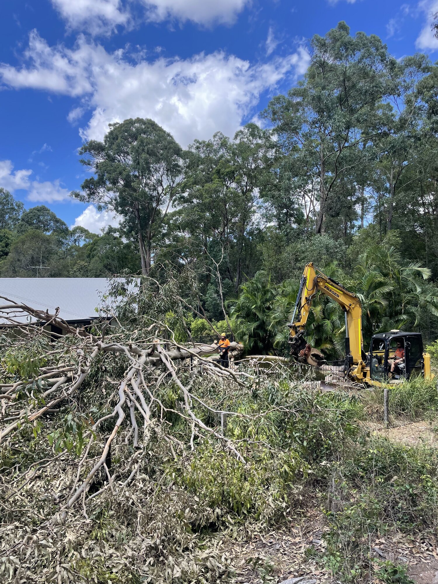 Albany Creek Storm Cleanup — photo 2