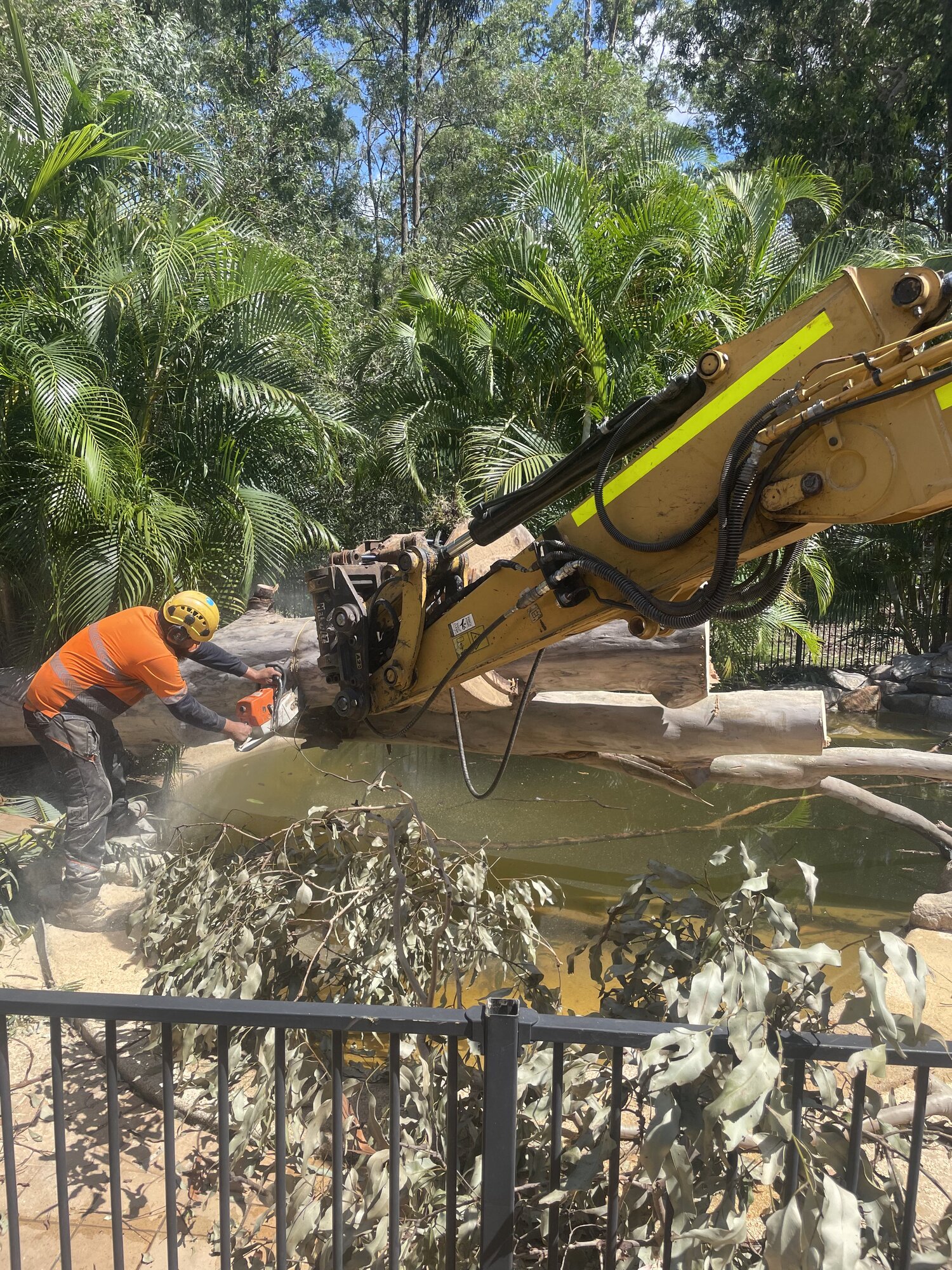 Albany Creek Storm Cleanup — photo 3