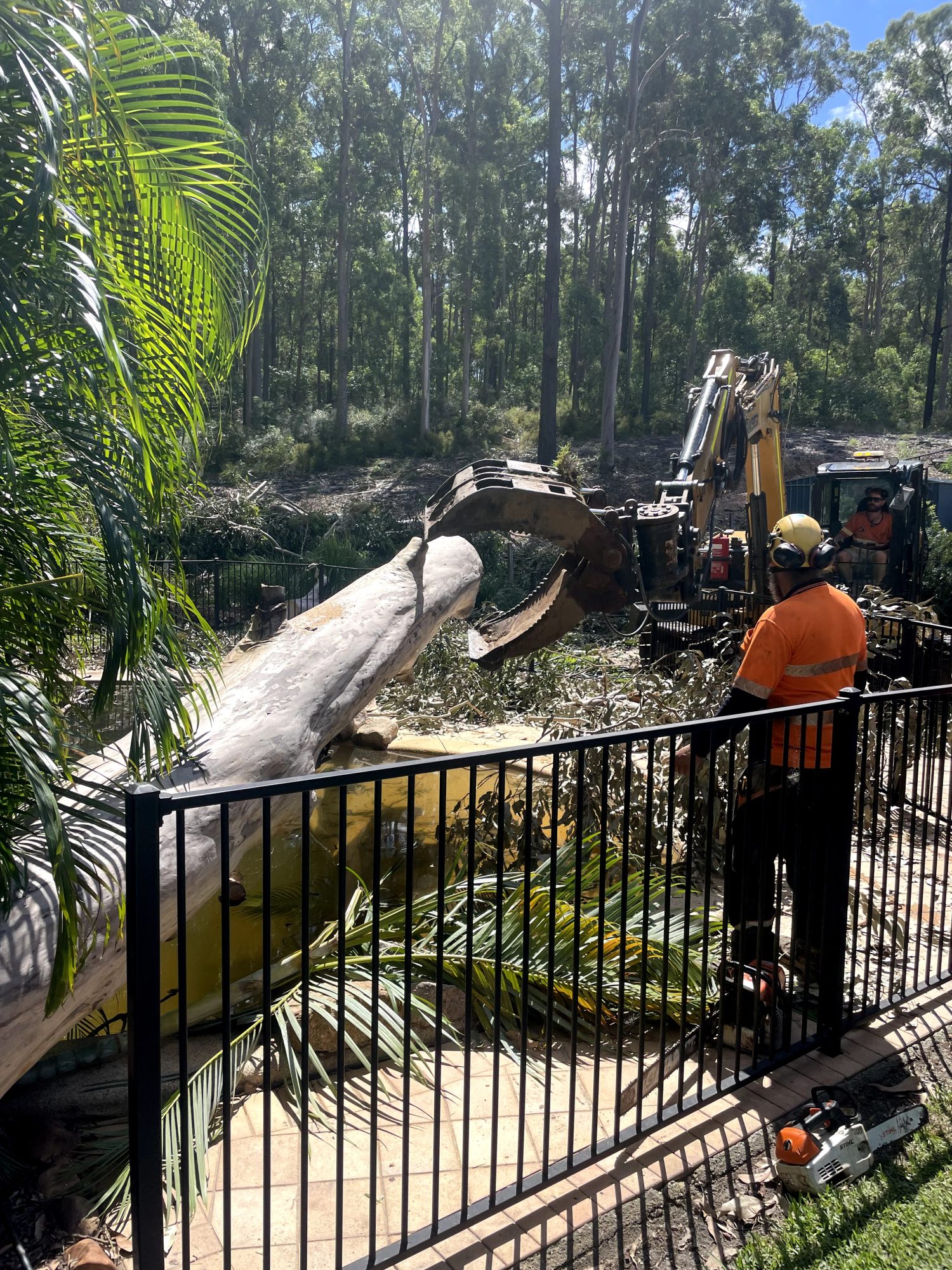 Albany Creek Storm Cleanup — photo 4