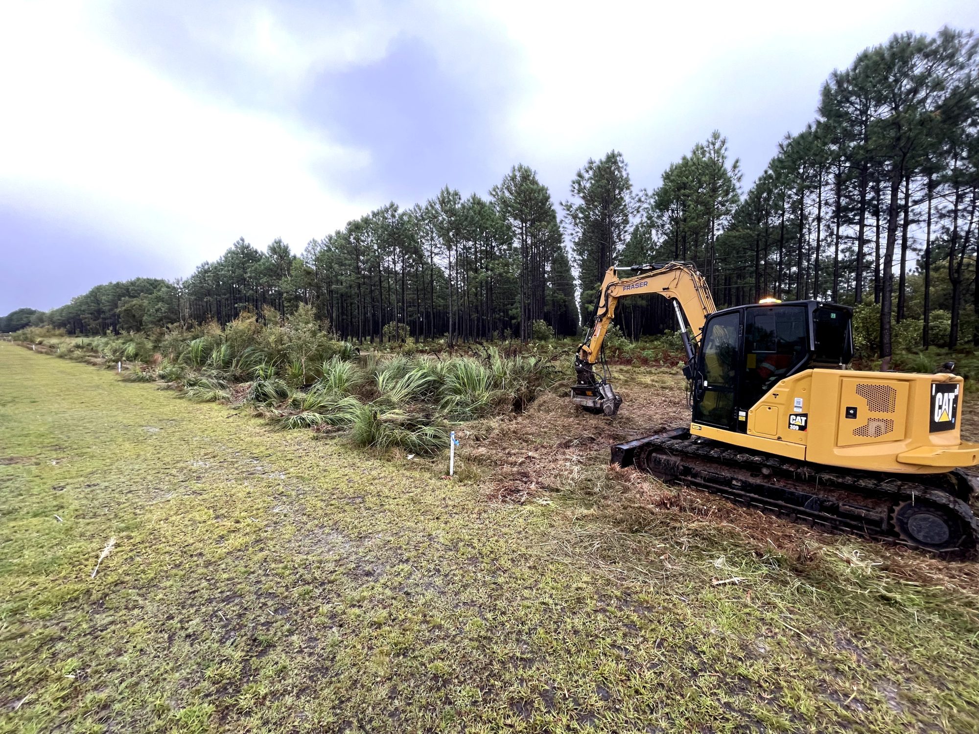 Bribie Island Forestry Mowing — photo 3