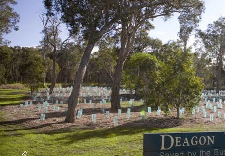 Brisbane 2 Million Trees — Our Urban Forest Program — photo 1