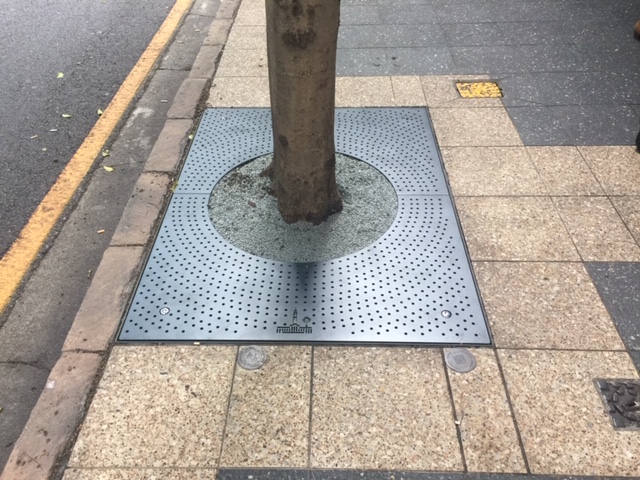 Brisbane CBD Porous Paving and Tree Grates Installation — photo 4