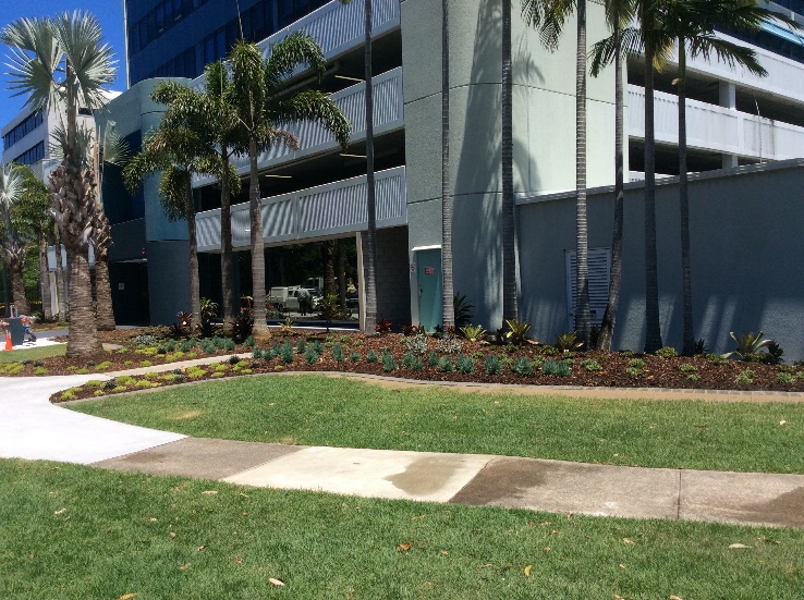Bundall Streetscape Upgrade — photo 1