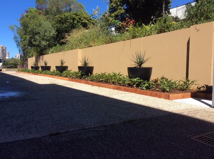 Bundall Streetscape Upgrade — photo 3