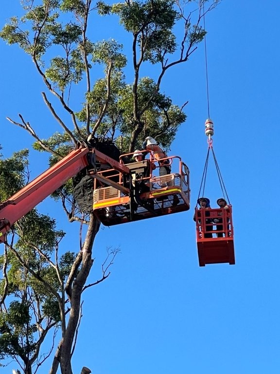 Eagles Nest Relocation — photo 1