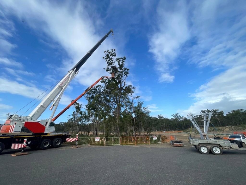 Eagles Nest Relocation — photo 3