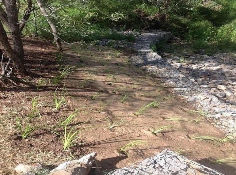 Ghost Gum Court Upgrade — photo 1