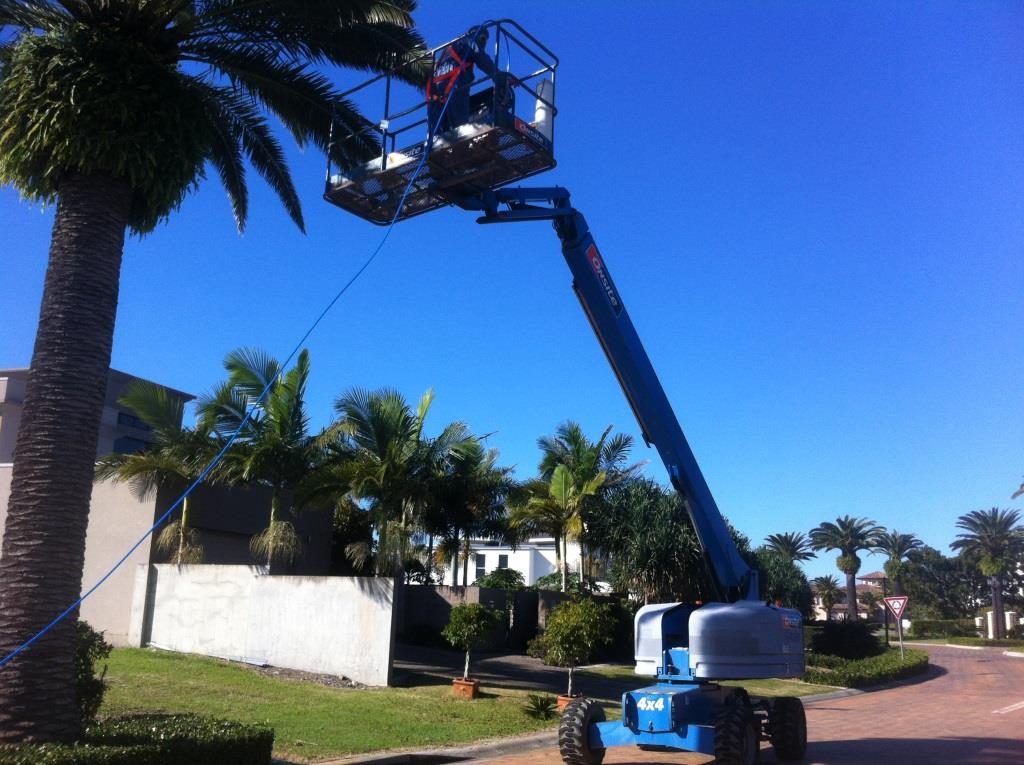 Date Palm Foliage Spraying — photo 2