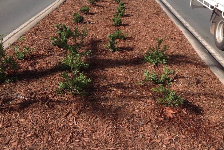 Gympie Road Upgrade — photo 3