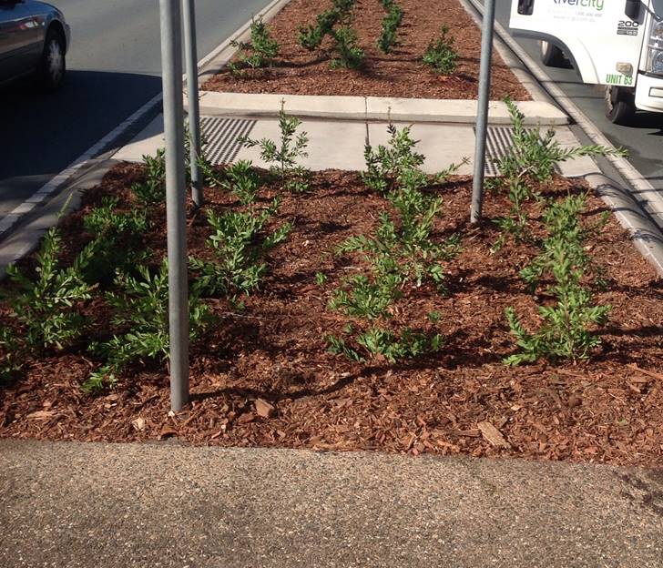Gympie Road Upgrade — photo 4
