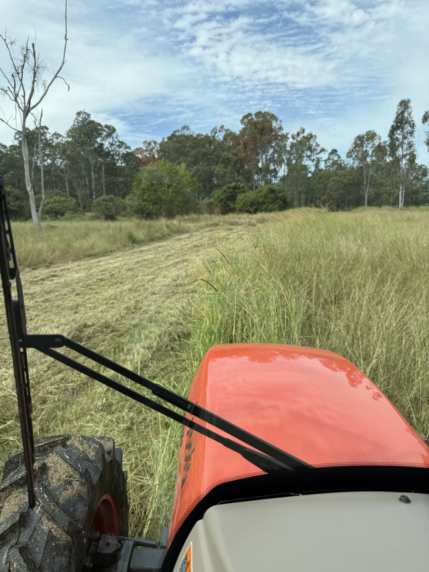 Flail Mowing and Tractor Slashing