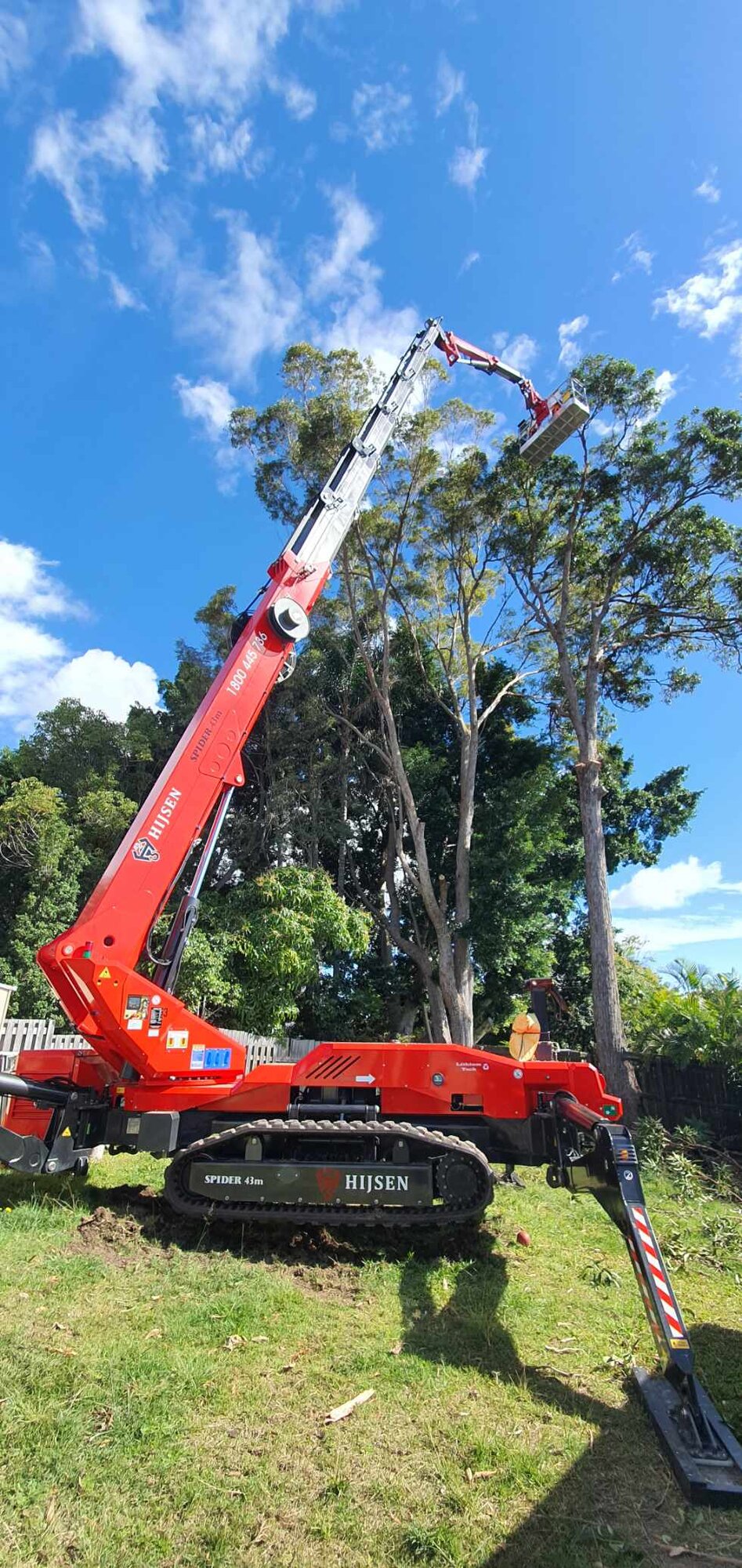 Logan Reserve Tree Canopy Reduction — photo 1