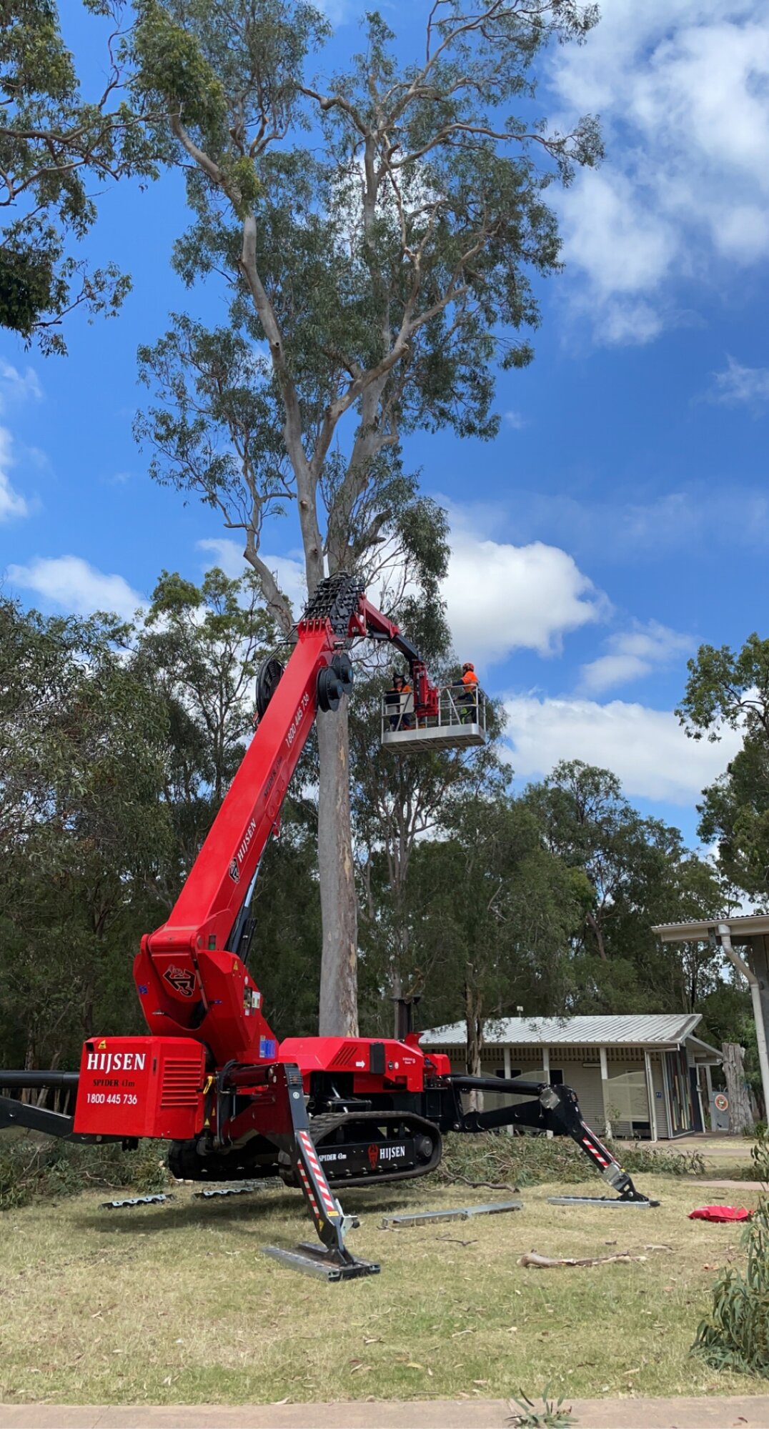 Logan Reserve Tree Canopy Reduction — photo 2
