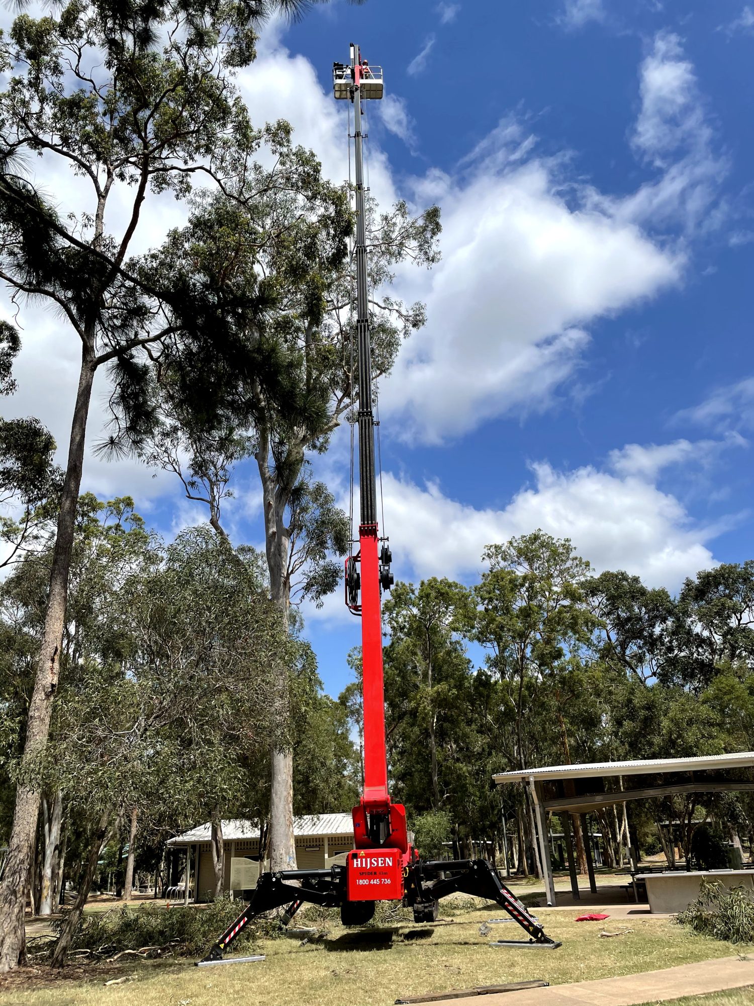 Logan Reserve Tree Canopy Reduction — photo 3