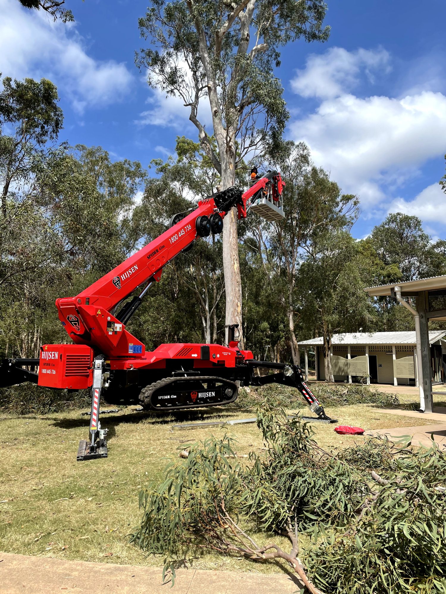 Logan Reserve Tree Canopy Reduction — photo 4