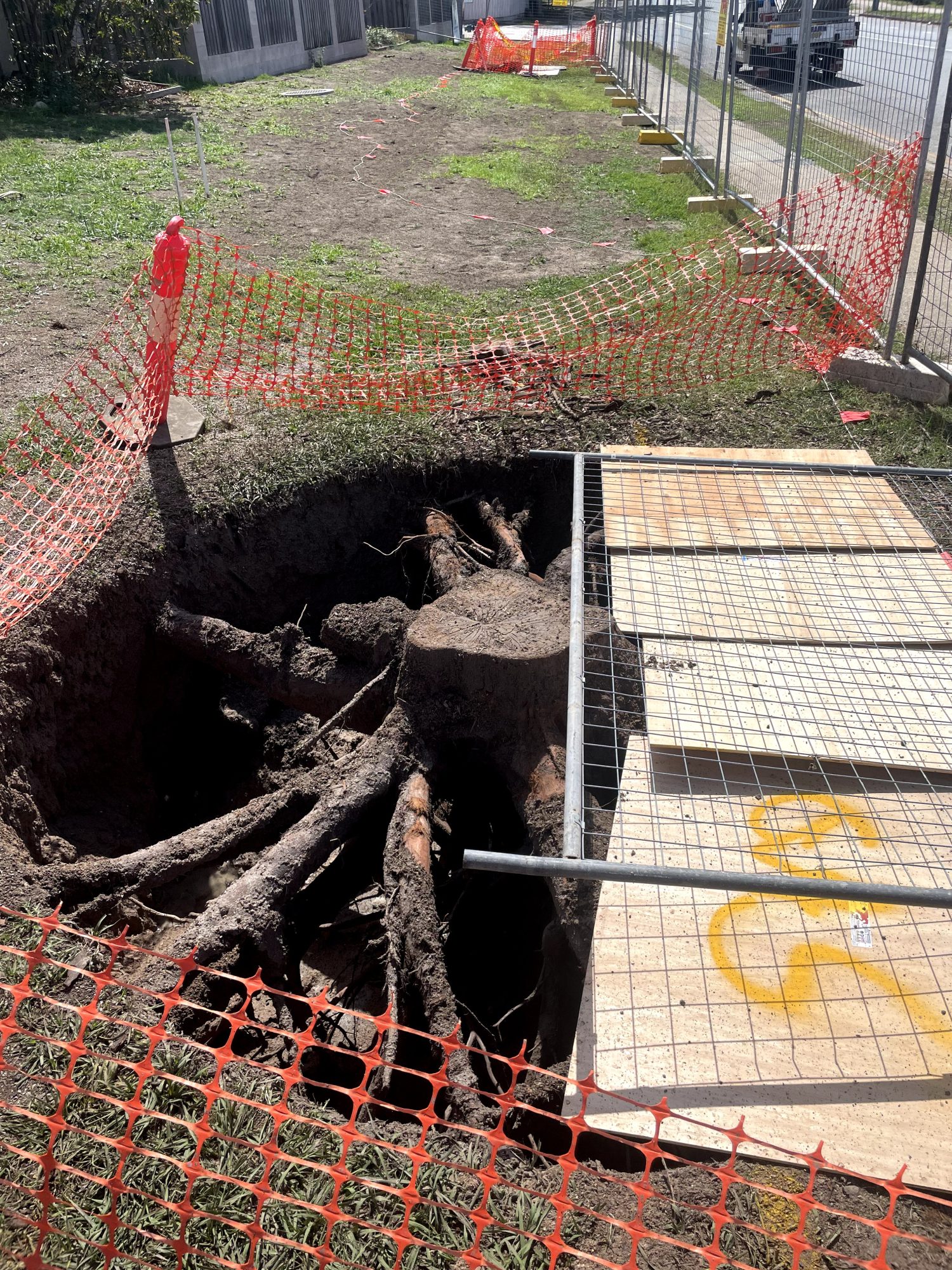 Rootball Extraction and Service Location — photo 1