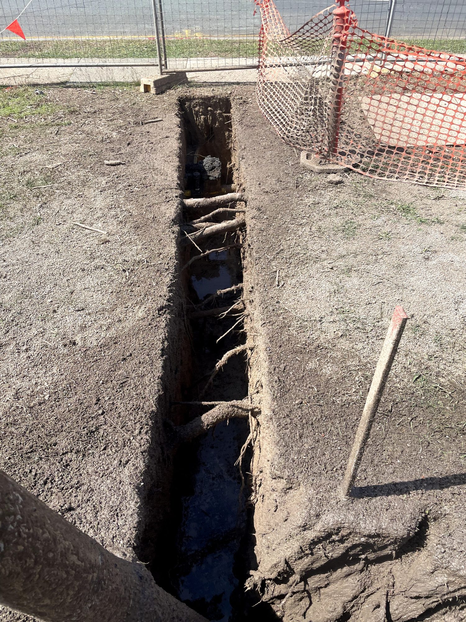 Rootball Extraction and Service Location — photo 4