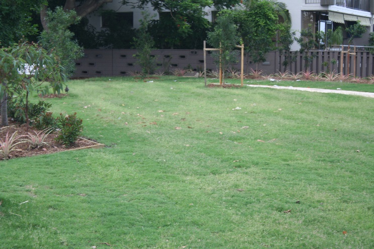Remembrance Park Upgrade — photo 4