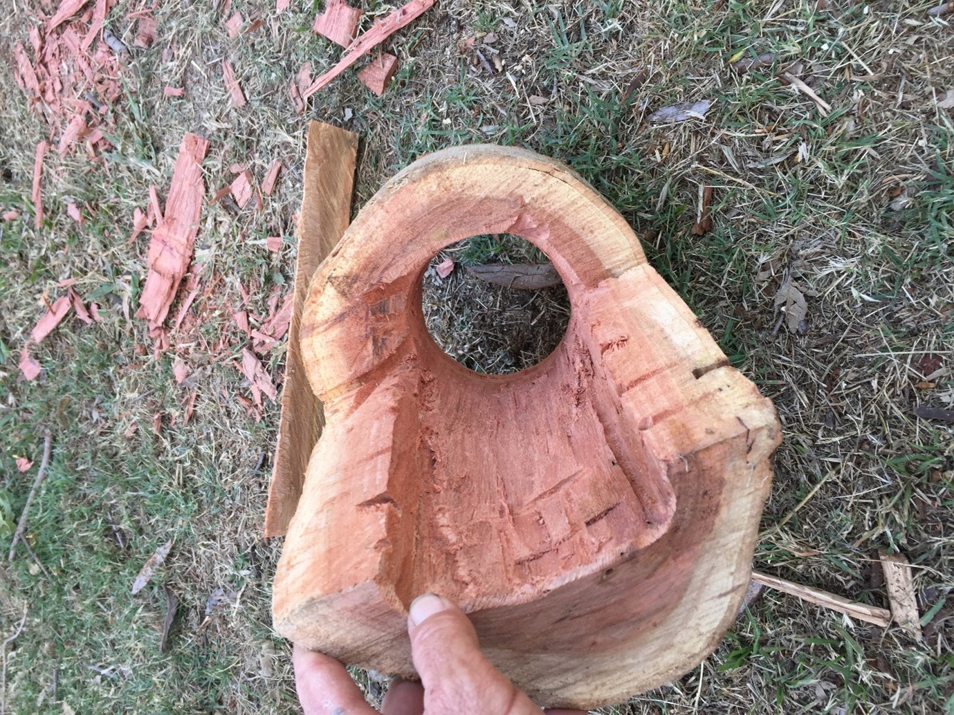 Renmark Court Tree Hollow and Habitat Creation — photo 3