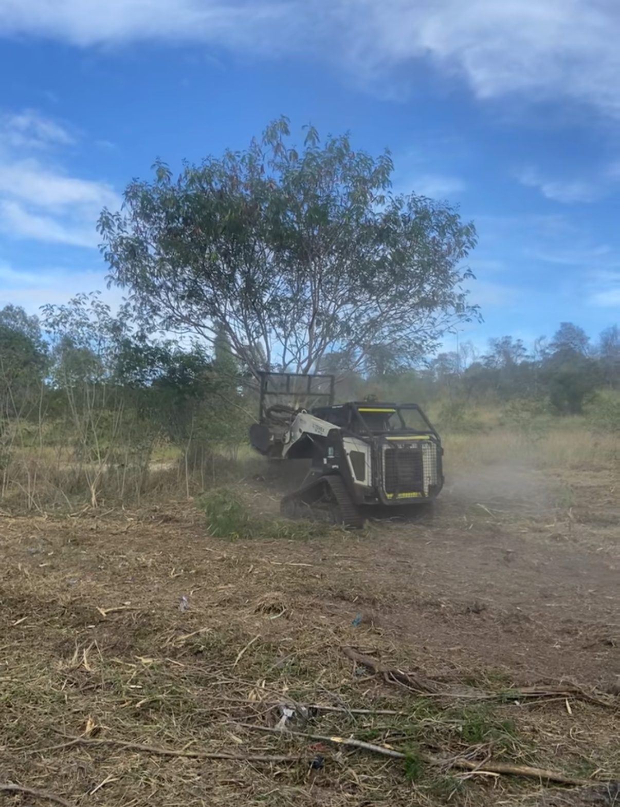 Forestry Mowing — photo 1