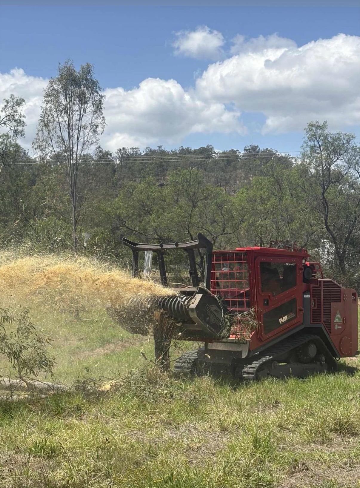 Forestry Mowing — photo 2