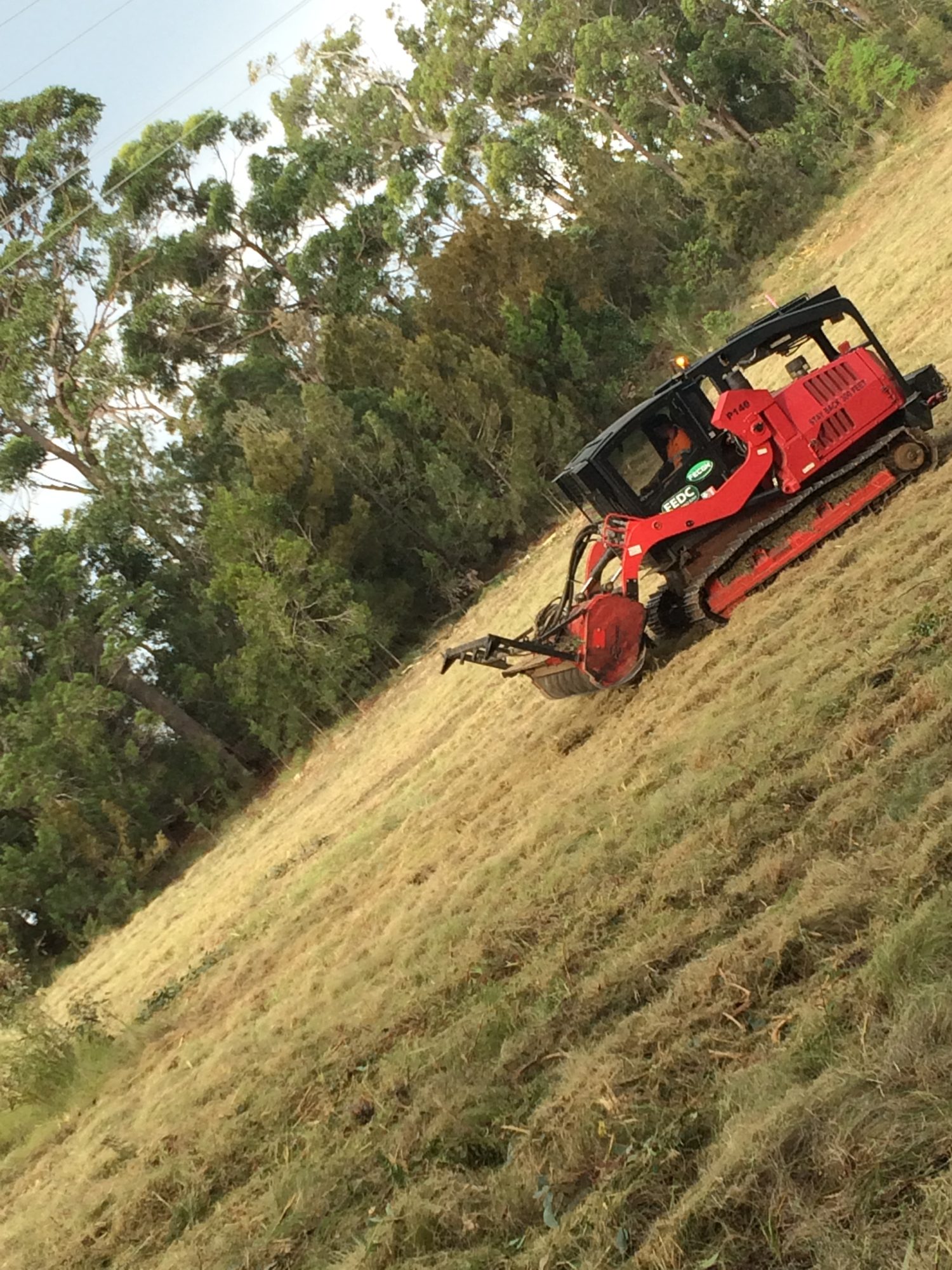 Forestry Mowing — photo 3