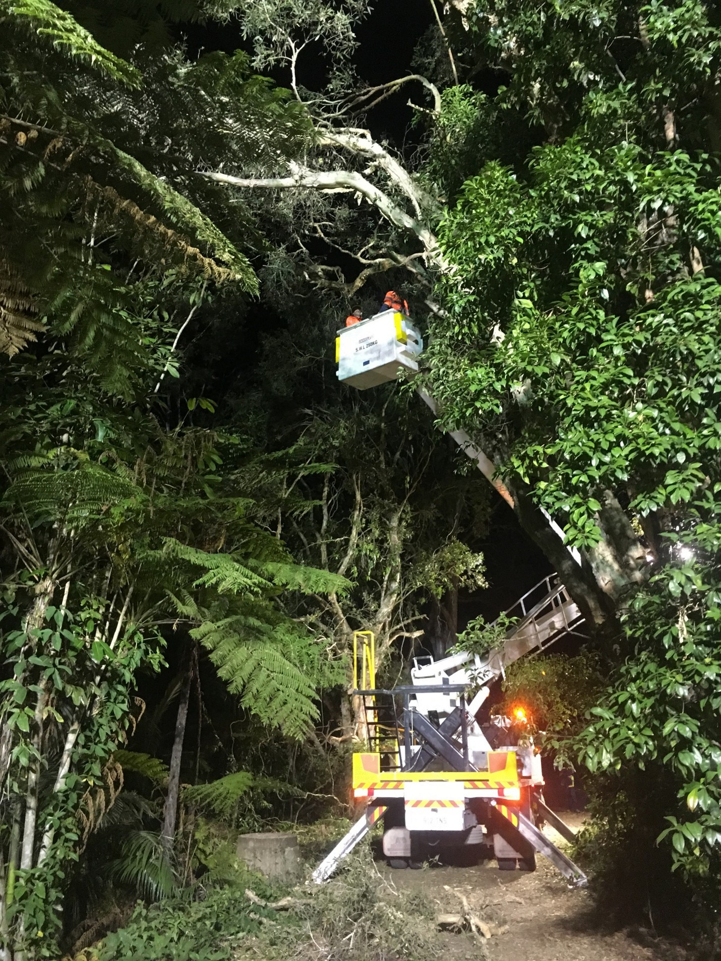 Tradewinds Ave Upgrade — photo 1